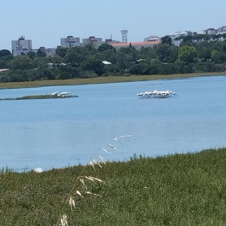 Alojamento Local, Cantinho Verde Corroios Zewnętrze zdjęcie
